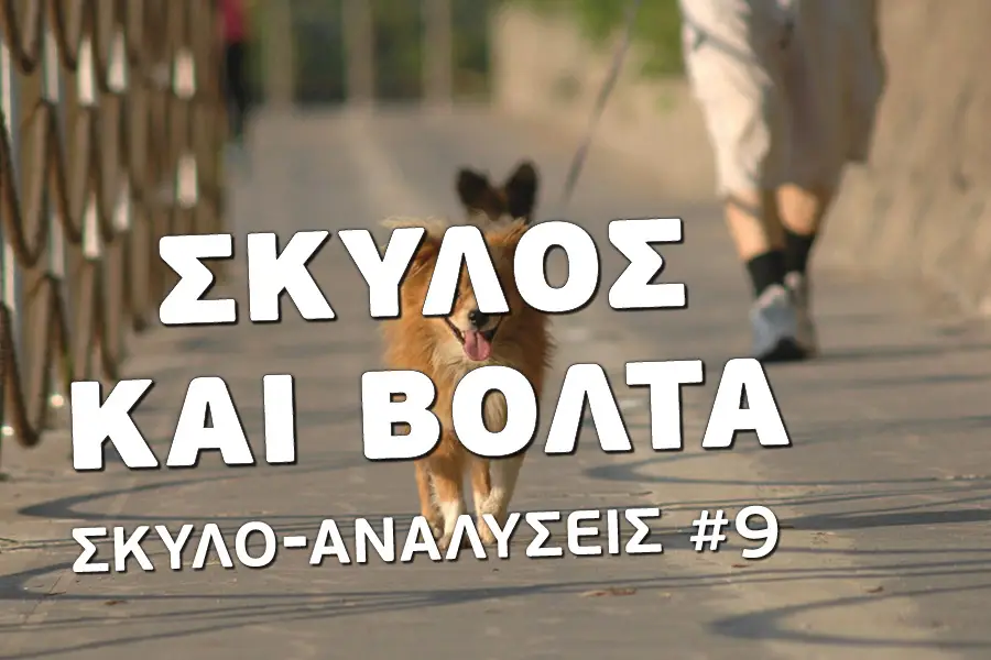 Σκύλος και βόλτα - Βίντεο εκπαίδευσης σκύλων - Το κανάλι του Μίλα στο Σκύλο σου