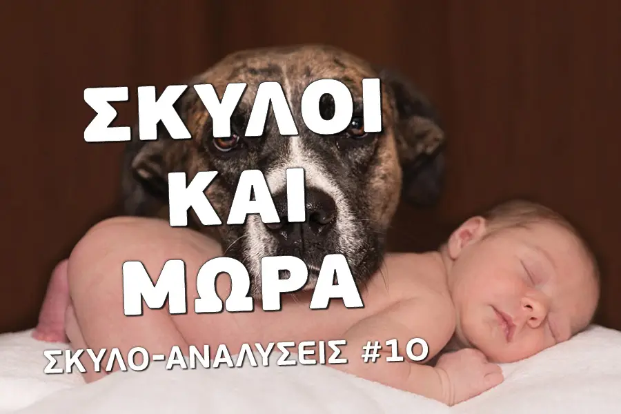 Σκύλοι και μωρά - Βίντεο εκπαίδευσης σκύλων - Το κανάλι του Μίλα στο Σκύλο σου