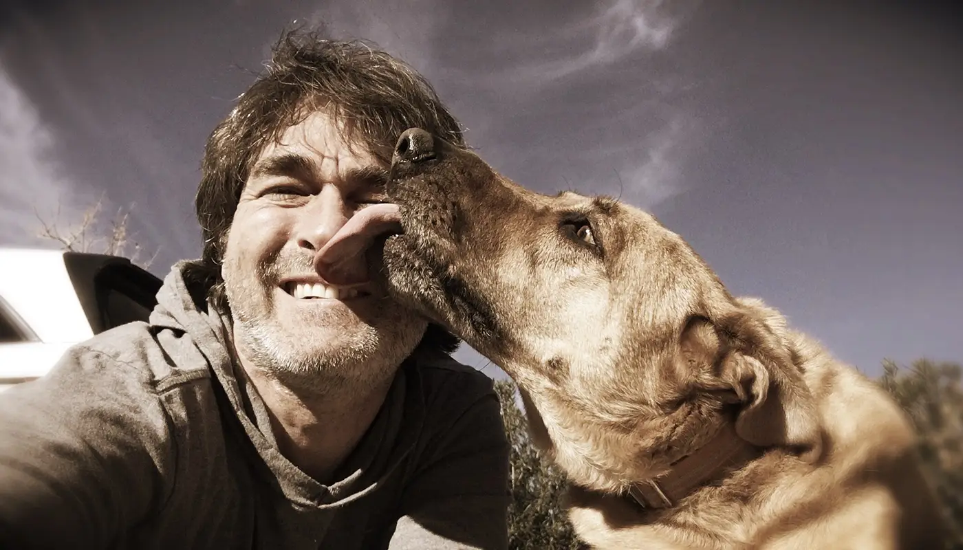 Why does my dog lick me? - Mila sto skylo sou blog
